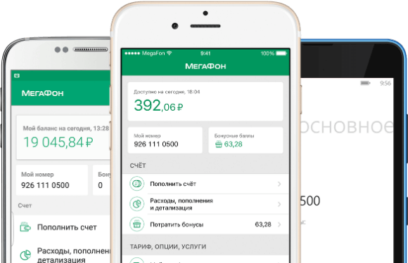 5 бонусная карта